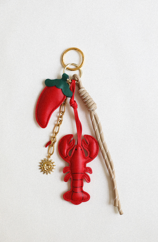 Bijou de sac - Le Pincé